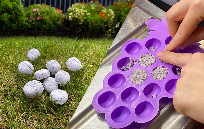 How to Make Seed Bombs with Paper for Sustainable Gardening